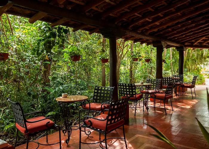 Occidental Cozumel Hotel