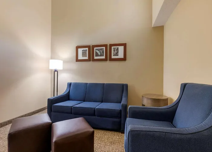 Comfort Suites Dfw Airport Irving