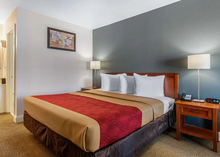 Econo Lodge Airport - Rj Stadium Tampa