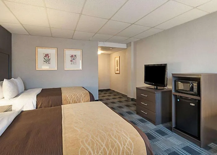 Comfort Inn Ballston Arlington