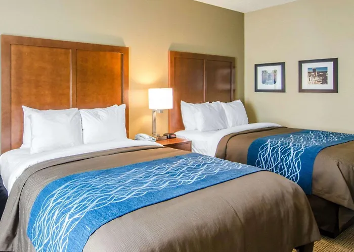 Comfort Inn & Suites Lynchburg Airport - University Area
