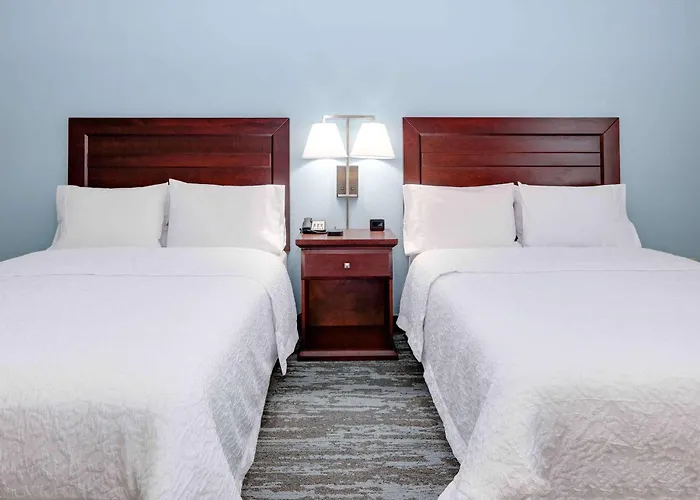 Hampton Inn & Suites Dallas-Arlington-South