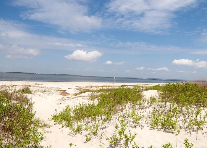Desoto Beach Gardens Tybee Island