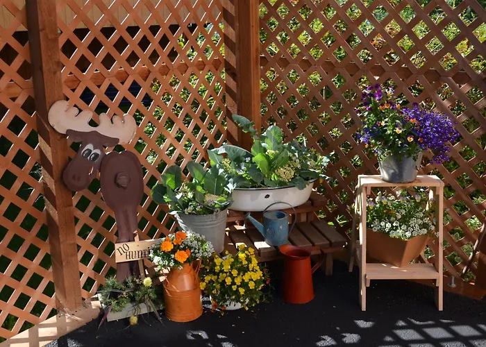 Alaska'S Lake Lucille Bed & Breakfast Wasilla