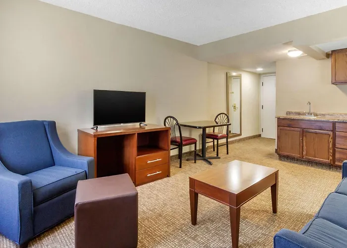 Comfort Inn St Petersburg North