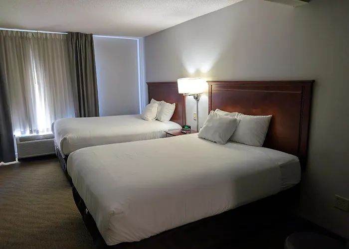 Wingate By Wyndham Chesapeake Hotel