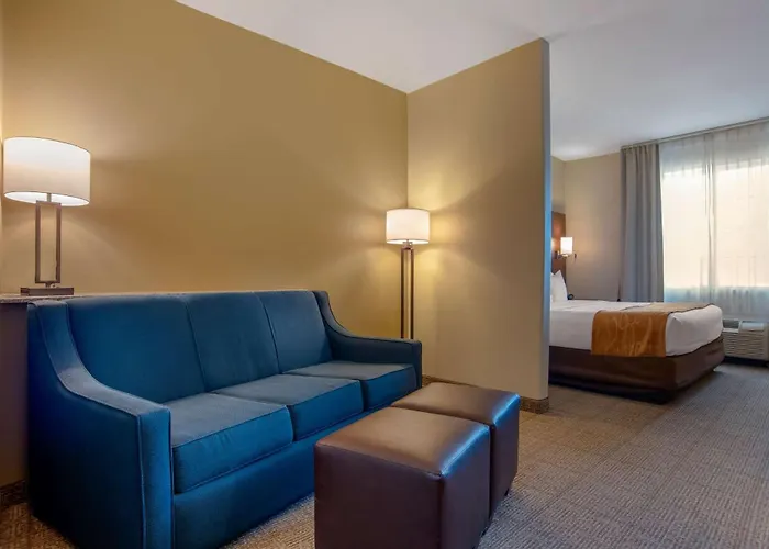 Comfort Suites Alexandria North