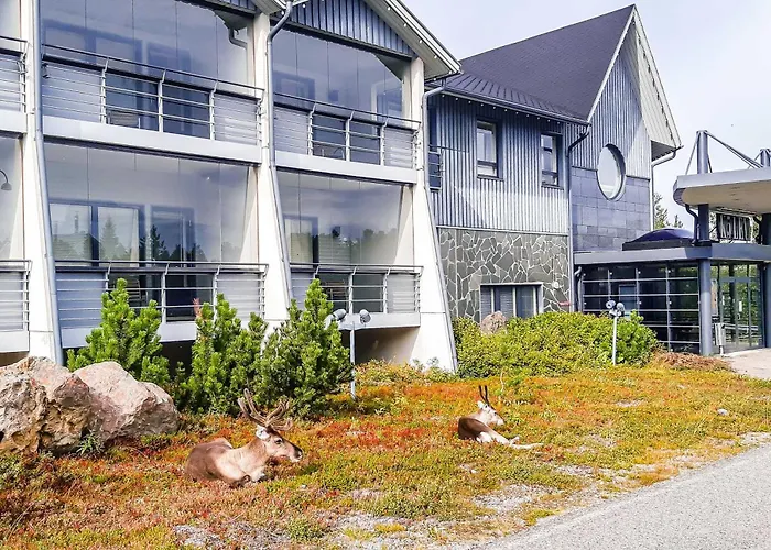 Boutique Hotels in Levi