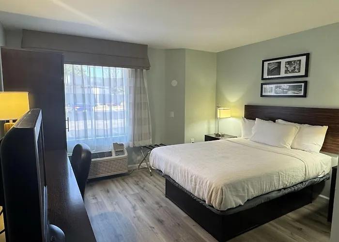 Wingate By Wyndham Bel Air I-95 Exit 77A - Apg Area Hotel Edgewood