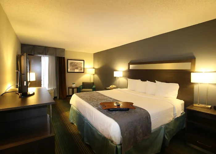 Best Western O'Hare/Elk Grove Hotel Elk Grove Village