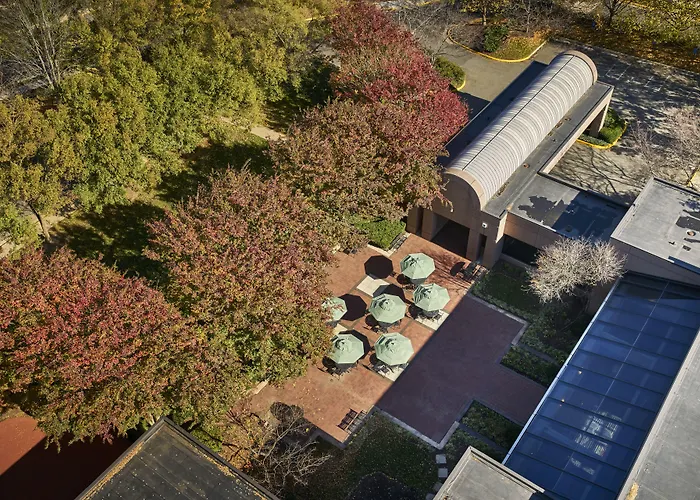 Hilton Fairfax, Va Hotel
