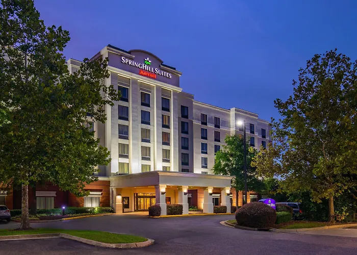 Springhill Suites By Marriott Norfolk Virginia Beach