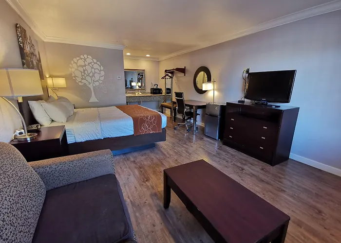 Journey Inn Woodland