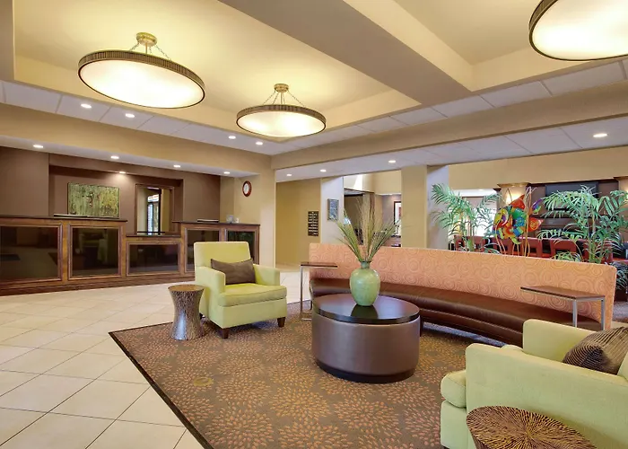 Homewood Suites By Hilton Tampa-Brandon Heartland