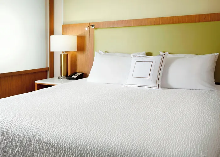 Springhill Suites By Marriott Pittsburgh Bakery Square