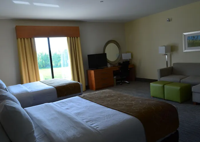 Comfort Suites Bossier City - Shreveport East