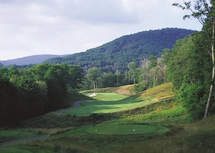 Allegheny Springs Snowshoe