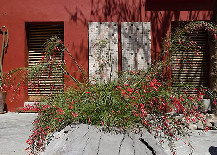 Hotel La Casona De Tita Oaxaca
