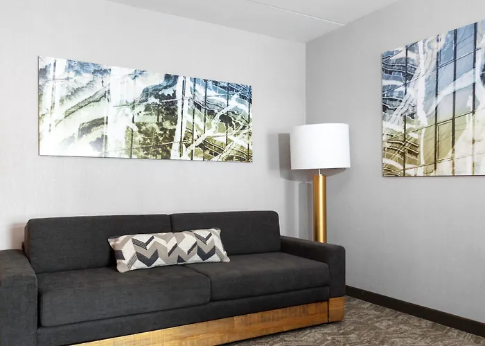 Springhill Suites By Marriott Durham City View