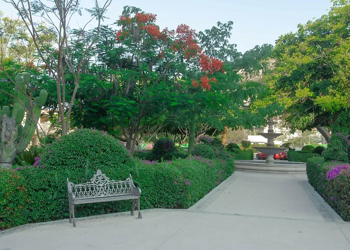 Pedregal Manor With 45 Private Rooms & Free Ultra High Speed Internet Cabo San Lucas
