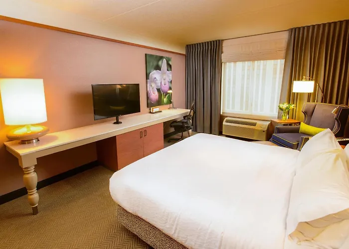 Hilton Garden Inn Rochester Downtown