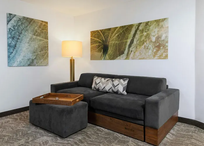 Springhill Suites By Marriott Sioux Falls