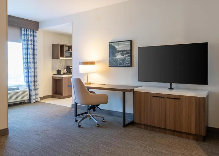 Hilton Garden Inn Auburn Riverwatch