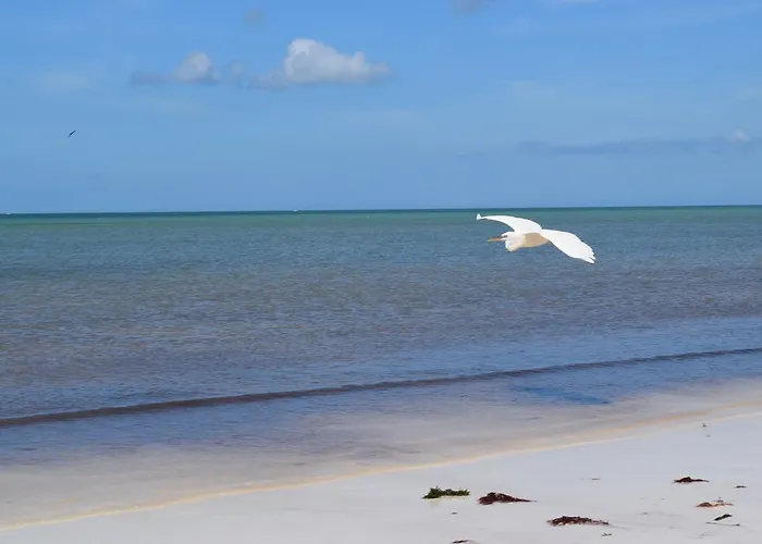 Villas Delfines Isla Holbox