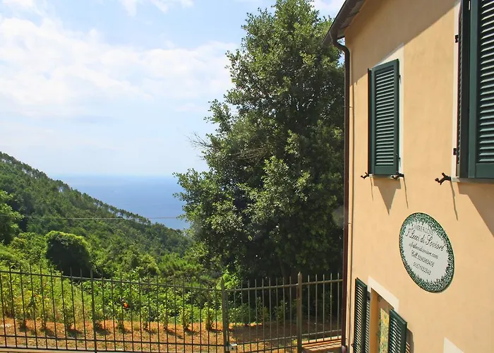 I Lecci Di Soviore Monterosso al Mare