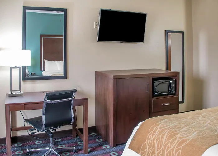 Comfort Inn & Suites San Marcos Near Outlet Mall